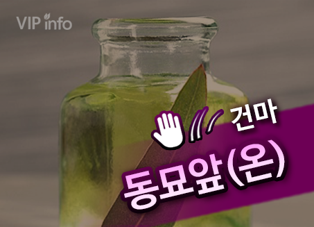 종로망고테라피