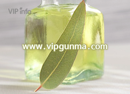 종로망고테라피