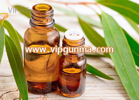 대전건마 [둔산감성]테라피 마사지