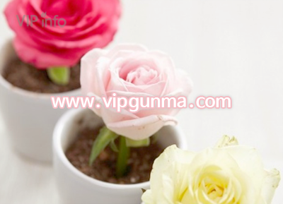 강남 1인샵 [로즈마리]