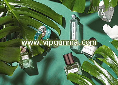 강남 삼성중앙역 [사하라] 스웨디시