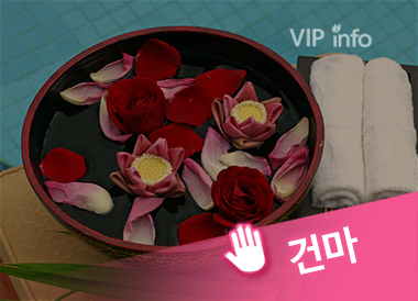 송파 잠실새내 삼성[도쿄 스웨디시]