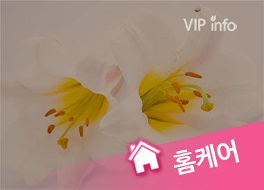 홈케어 인스타걸스 서울 경기 인천 마사지