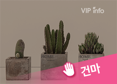 마포타이실크로드