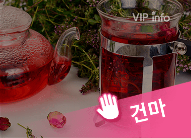 전주디올테라피