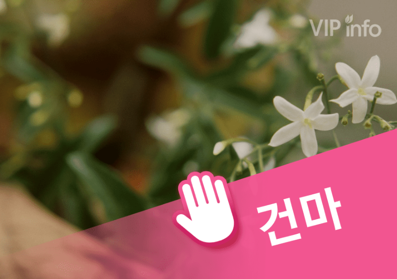 분당 로얄테라피.png