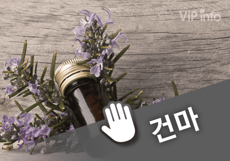 대전 나나테라피.png