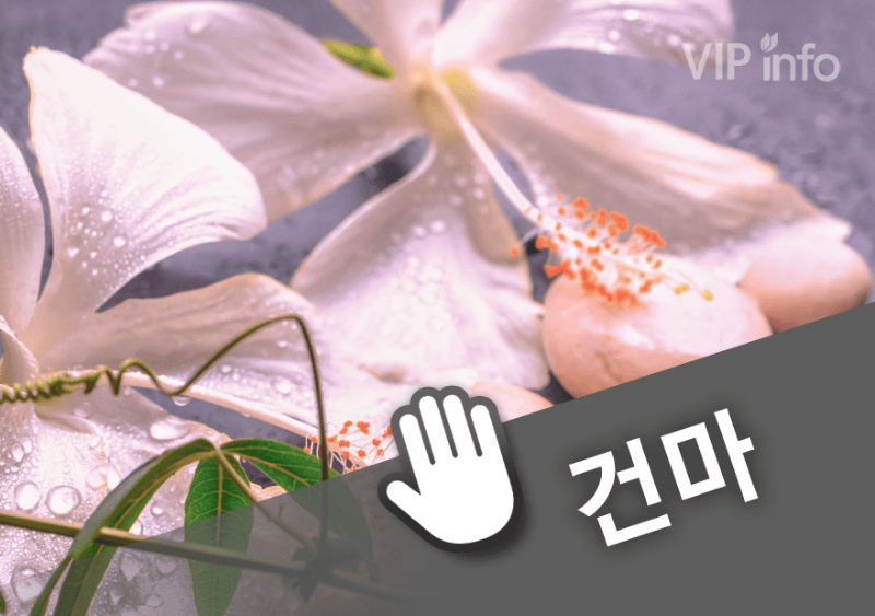 일산 미시퀸.png