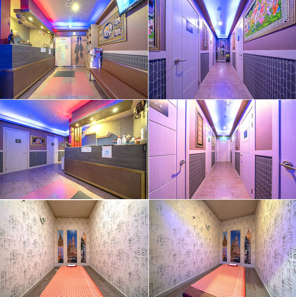 파주 타이홀릭.png