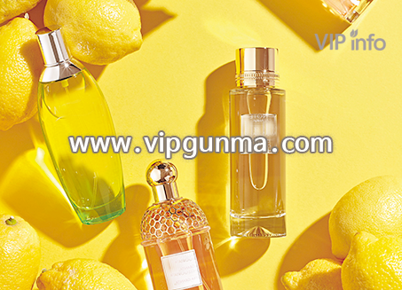 홈케어 토닥맨(남) 서울 경기 마사지