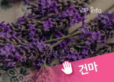 화성스웨디시 S스웨디시 건마 마사지