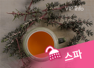 강남 1등스파.png