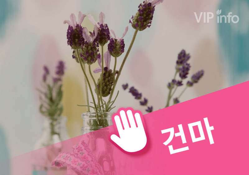 대전 파트너.png