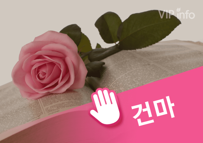 대전 여신스웨디시.png