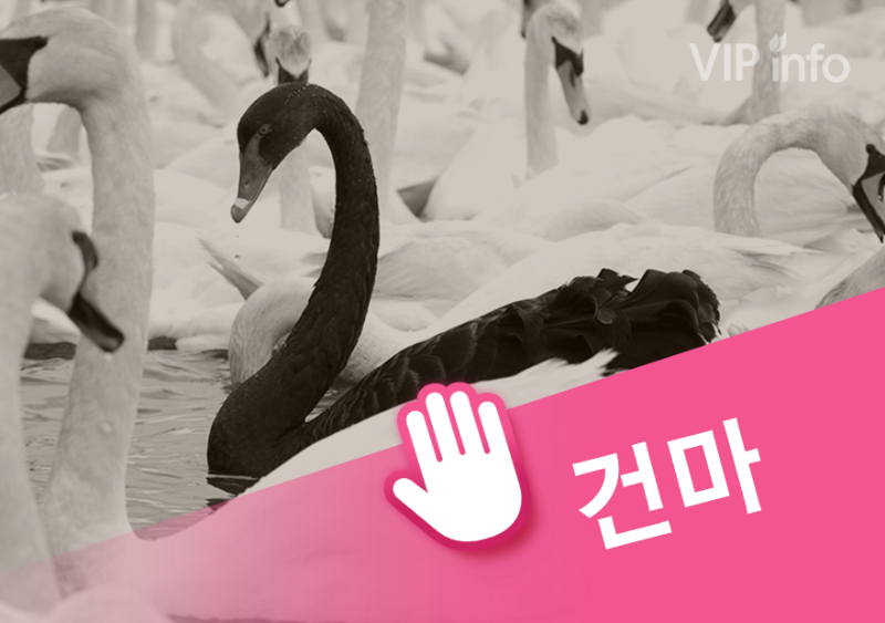 분당 블랙스완.png