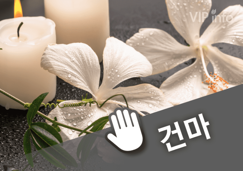 화성 시크릿스웨디시.png