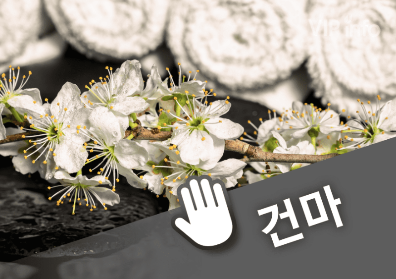 광명 나비스웨디시.png